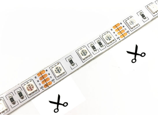 Prenda impermeable de la luz de tira de SMD 5050 LED RGB IP67 para la decoración de la barra del jardín